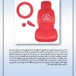 صفحات دیتیلینگ خودرو استاد باقری 25